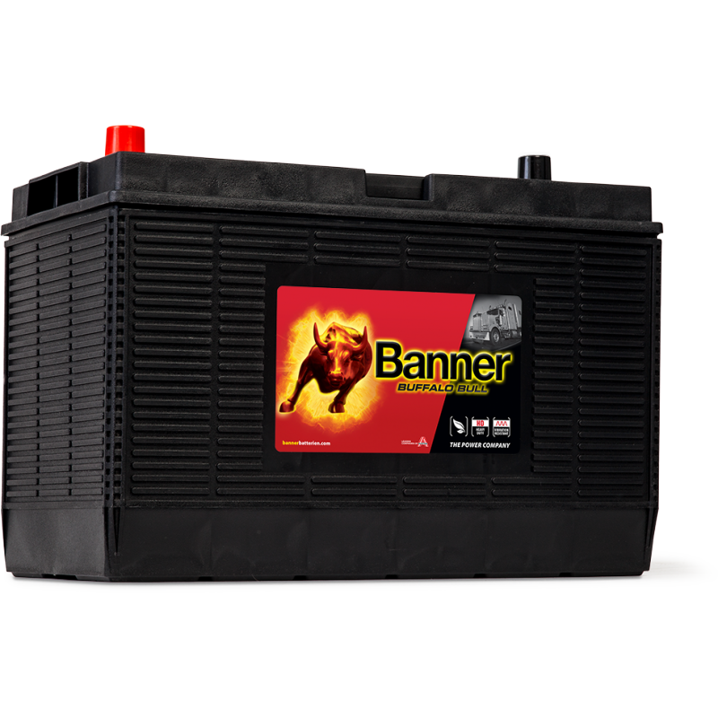 Аккумулятор Buffalo Bull 605 02 US BCI 31
