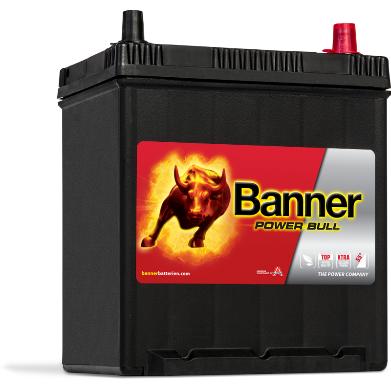 Аккумулятор Power Bull P40 25 ASIA