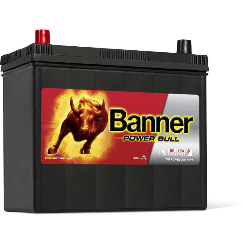 Аккумулятор Power Bull P45 24 ASIA
