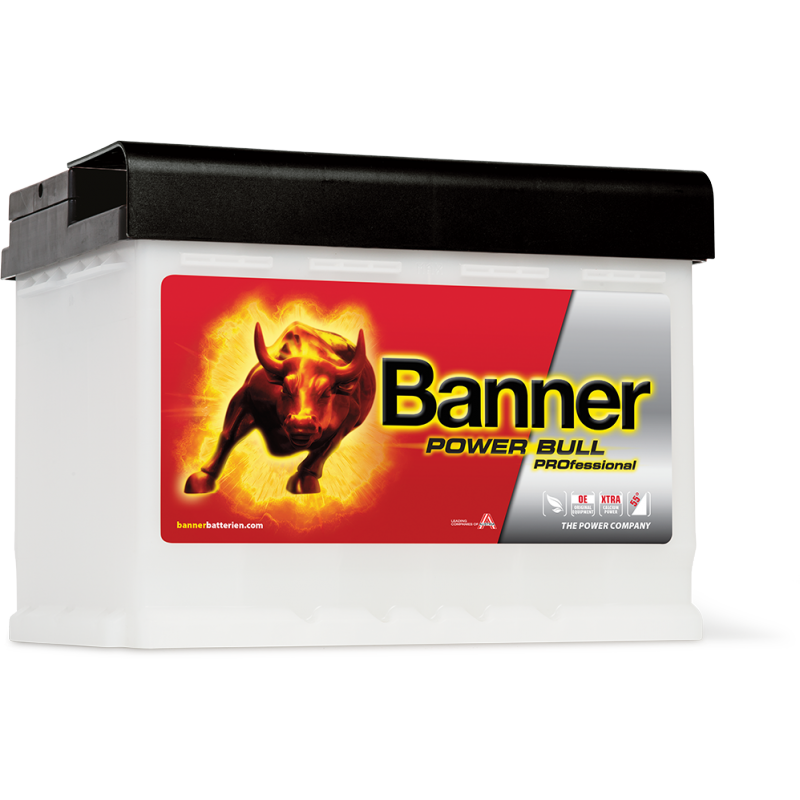 Аккумулятор Power Bull PROfessional PRO P50 40