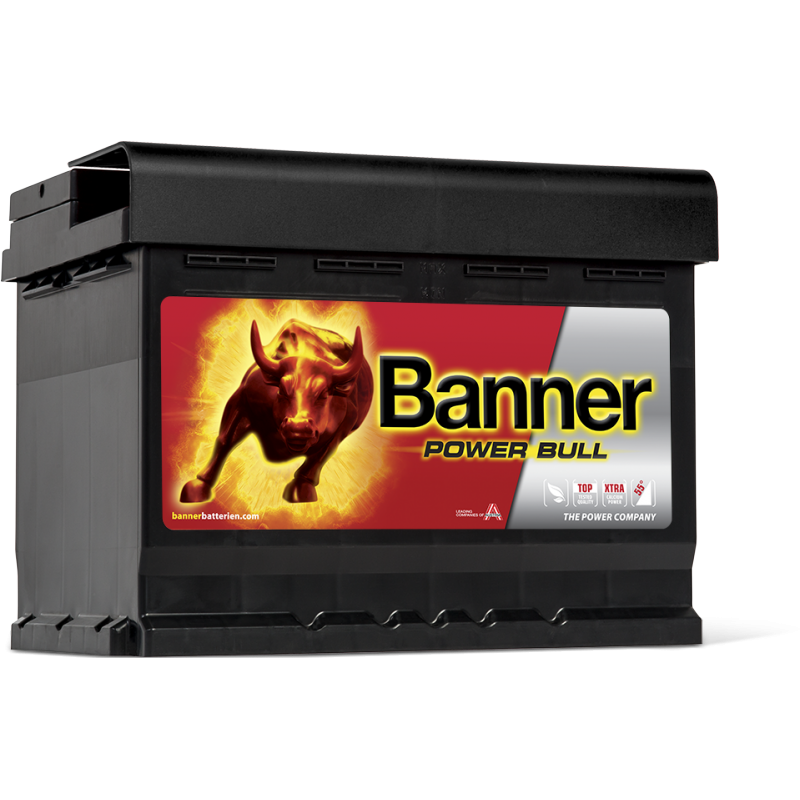 Аккумулятор Power Bull P60 09