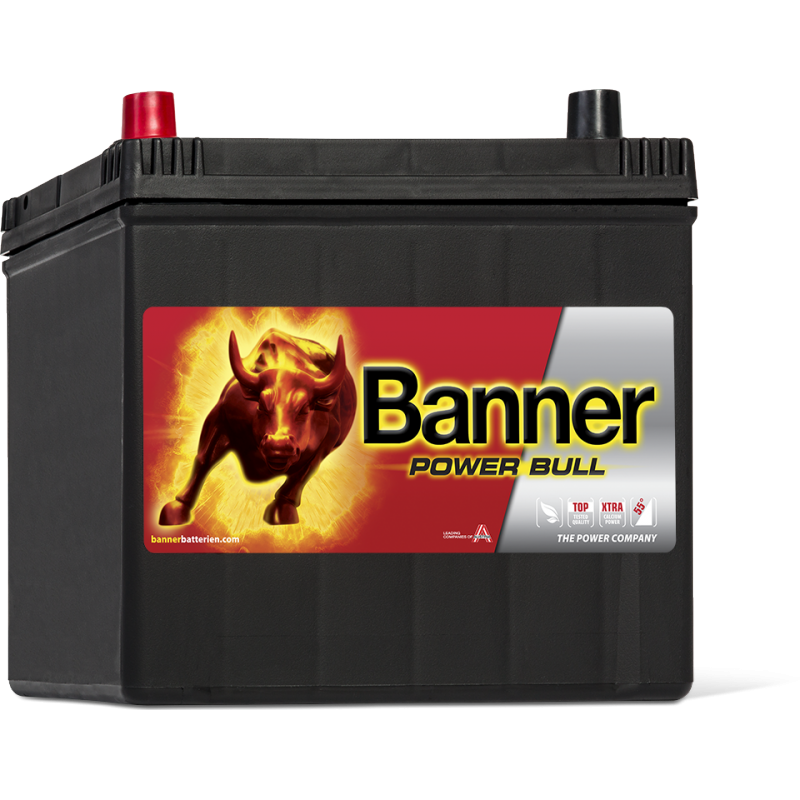 Аккумулятор Power Bull P60 69 ASIA