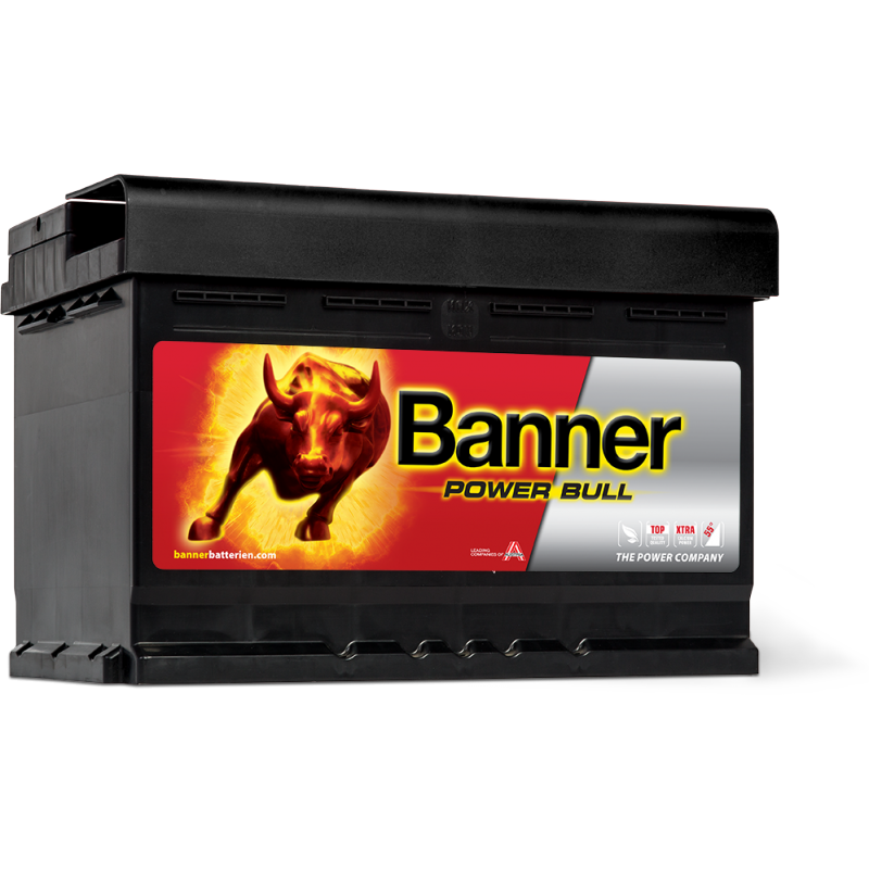 Аккумулятор Power Bull P72 09