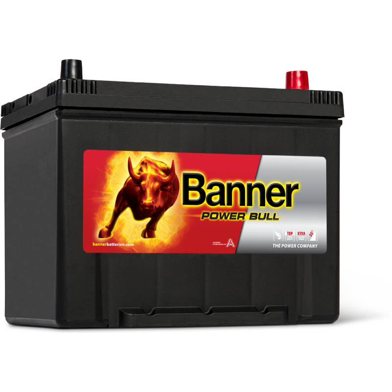 Аккумулятор Power Bull P80 09 ASIA