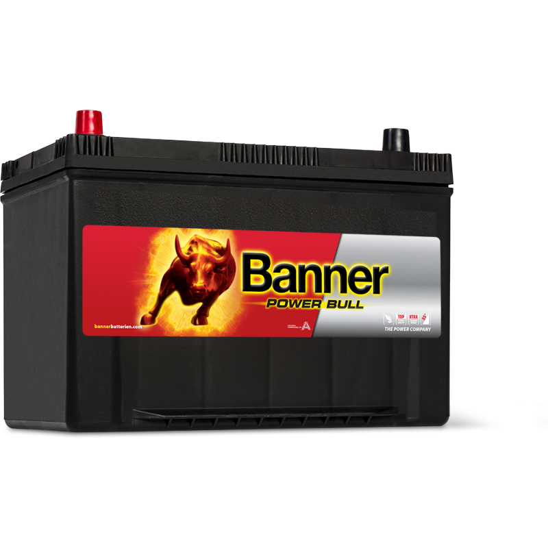 Аккумулятор Power Bull P95 05 ASIA