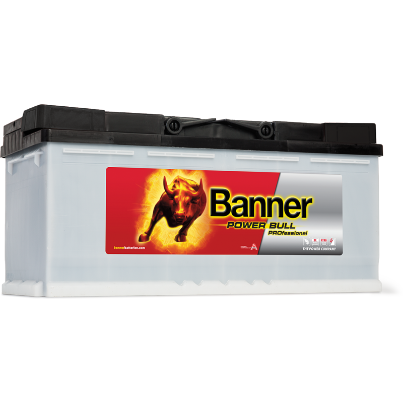 Аккумулятор Power Bull PROfessional PRO P100 40