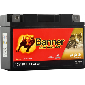Аккумулятор Bike Bull GEL GEL 508 01 / GT9B-4