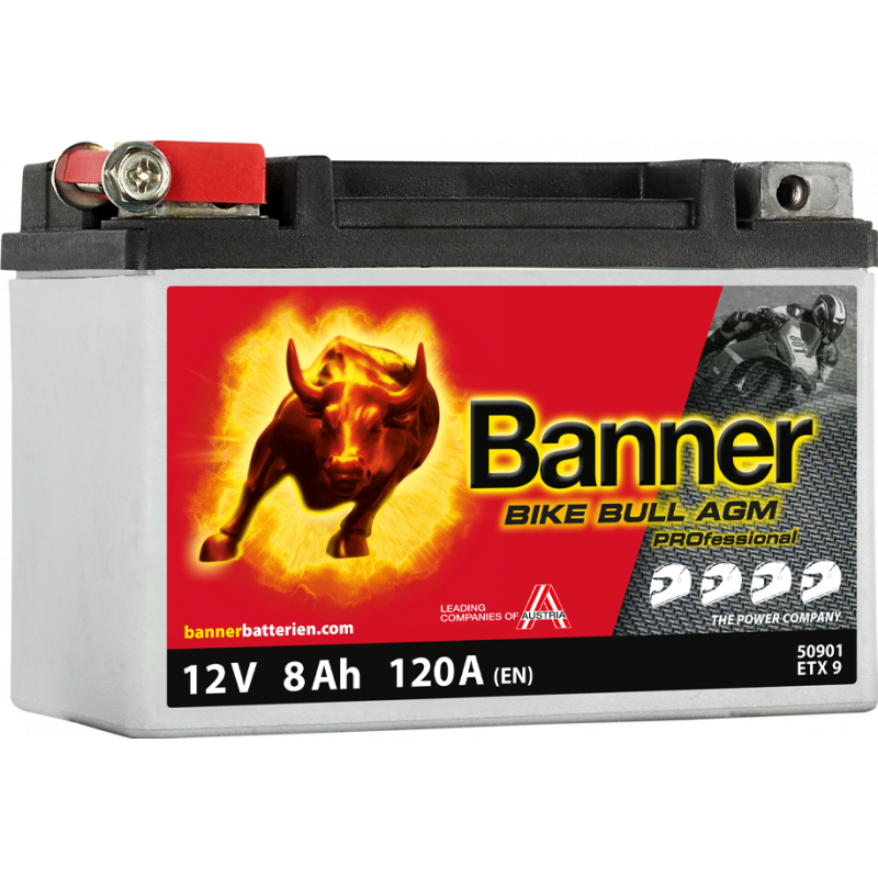 Аккумулятор Bike Bull AGM PROfessional AGM PRO 509 01 / ETX9