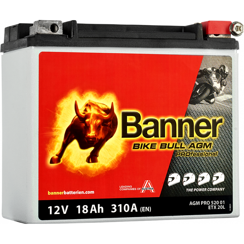 Аккумулятор Bike Bull AGM PROfessional AGM PRO 520 01 / ETX20L